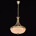 Подвесной светильник MW-Light Афродита 1 317010504 - фото 4822818