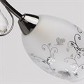 Потолочная люстра MW-Light Фиеста 2 267013403 - фото 4822889