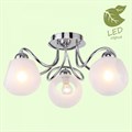 Потолочная люстра Lussole Iliamna GRLSP-8139 - фото 4825725