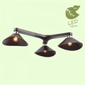 Потолочная люстра Lussole Opelika GRLSP-9534 - фото 4826057