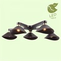 Потолочная люстра Lussole Opelika GRLSP-9535 - фото 4826064