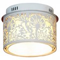 Накладной светильник Lussole Vetere LSF-2307-04 - фото 4826756