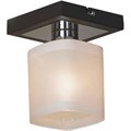 Светильник на штанге Lussole Costanzo LSL-9007-01 - фото 4826798