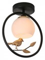 Накладной светильник Escada Song 1113/1P Black - фото 4833234