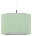 Подвесной светильник Escada Horeca 1139/1S Mint - фото 4833374