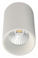 Накладной светильник Escada 20003 20003SMU/01LED SWH - фото 4833399