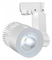 Светильник на штанге Escada 20030 20030TRA/01LED SWH - фото 4833427