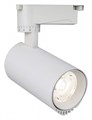 Светильник на штанге Escada 20031 20031TRA/01LED SWH - фото 4833430