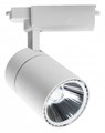 Светильник на штанге Escada 20032 20032TRA/03LED SWH - фото 4833443