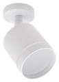 Спот Escada 20009 20009SMA/02LED SWH - фото 4833745