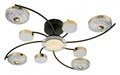 Потолочная люстра Escada Liberta 10208/8LED - фото 4834542