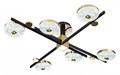 Потолочная люстра Escada Liberta 10219/6LED - фото 4834553
