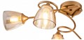 Потолочная люстра Escada Celosia 1112/6P - фото 4834707