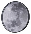 Накладной светильник Escada Planet 10226/SG LED Moon - фото 4835207