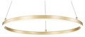 Подвесной светильник Escada Void 10254/1LED Gold APP - фото 4835257