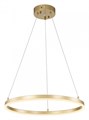 Подвесной светильник Escada Void 10254/1LED Gold APP - фото 4835260