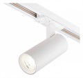 Светильник на штанге Escada 20002 20002TRA/02LED SWH - фото 4836593