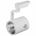 Светильник на штанге Эра TR1 TR1 - 30 WH - фото 4838232