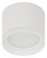 Накладной светильник Эра OL17 GX53 WH Б0049044 - фото 4838775