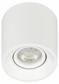 Накладной светильник Эра OL25-1 WH Б0054383 - фото 4839167