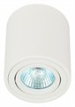 Накладной светильник Эра OL21 WH Б0054392 - фото 4839172