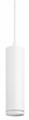 Подвесной светильник Эра PL19 WH Б0058491 - фото 4840032