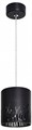 Подвесной светильник Эра PL30 BK Б0061408 - фото 4840471