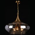 Подвесной светильник Aployt Franko APL.601.16.03 - фото 4840846