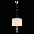 Подвесной светильник Aployt Franula APL.724.06.01 - фото 4841671
