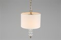 Подвесной светильник Aployt Franula APL.724.06.01 - фото 4841679