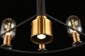 Подвесная люстра Aployt Stefani APL.901.03.10 - фото 4842136