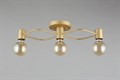 Потолочная люстра Aployt Elison APL.911.07.03 - фото 4844566