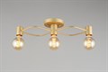 Потолочная люстра Aployt Elison APL.911.07.03 - фото 4844567