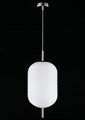 Подвесной светильник Aployt Mattia APL.316.26.01 - фото 4846189