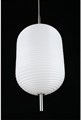 Подвесной светильник Aployt Mattia APL.316.26.01 - фото 4846197