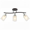 Спот Citilux Фортуна CL156132 - фото 4849907