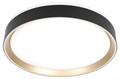 Накладной светильник Citilux BOSS CL751351G - фото 4858343
