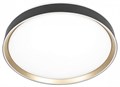 Накладной светильник Citilux BOSS CL751451G - фото 4858370