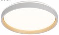 Накладной светильник Citilux ENZO CL753450G - фото 4859022