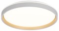 Накладной светильник Citilux ENZO CL753510G - фото 4859212