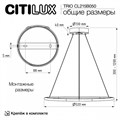Подвесной светильник Citilux Trio CL215B050 - фото 4859593