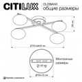 Потолочная люстра Citilux Atman Smart CL226A141 - фото 4860561