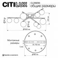 Потолочная люстра Citilux Glob CL209293 - фото 4860713