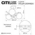 Люстра на штанге Citilux Ronny CL242133 - фото 4860817