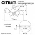 Люстра на штанге Citilux Ronny CL242193 - фото 4860826