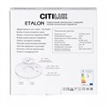 Накладной светильник Citilux Etalon CL750240 - фото 4861160