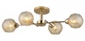 Потолочная люстра Rivoli Amalia Б0050815 - фото 4866136 Потолочная люстра Rivoli Amalia Б0050815 - фото 4866136