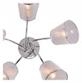 Потолочная люстра Rivoli Shirley Б0059982 - фото 4867118