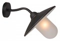 Светильник на штанге Lucide Aruba 11870/01/97 - фото 4868030