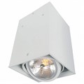 Накладной светильник Arte Lamp Cardani A5936PL-1WH - фото 4869213
